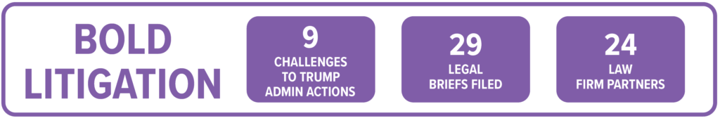 Bold Litigation: 9 challenges to Trump admin actions, 29 legal briefs filed, 24 law firm partners.