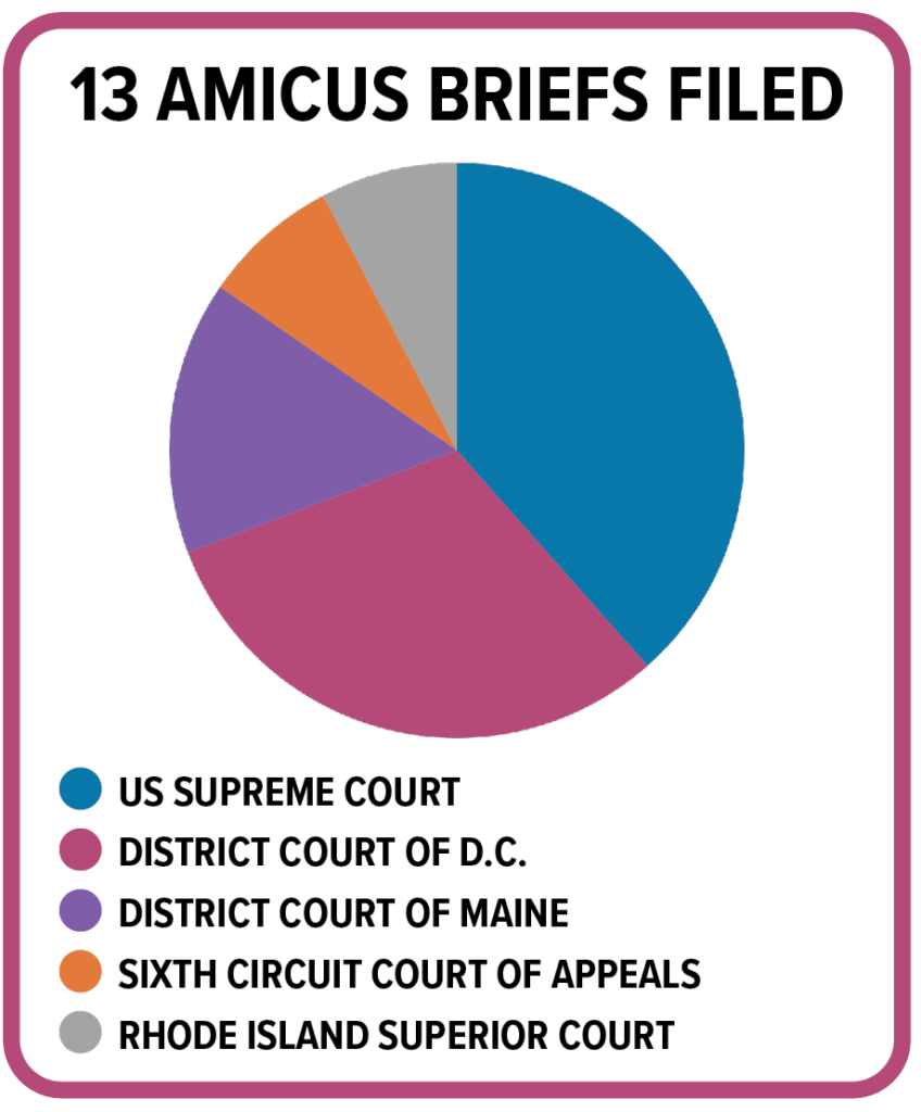 A pie chart showing the 13 amicus briefs filed in 2025. They are distributed among the US Supreme Court, District Court of D.C., Sixth Circuit Court of Appeals, and Rhode Island Superior Court.