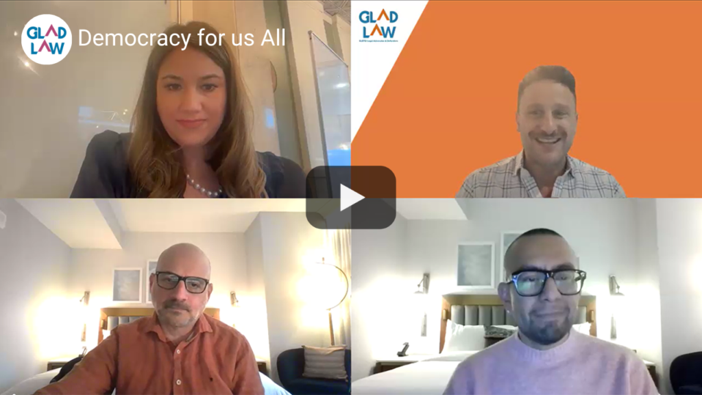 Thumbnail from Democracy for us All webinar recording.